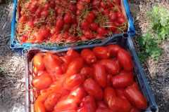 IMG-20250117-WA0048