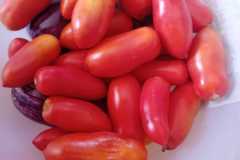 IMG-20250117-WA0057