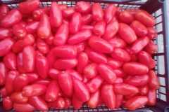 IMG-20250117-WA0062