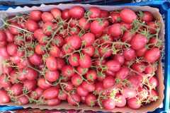 IMG-20250117-WA0066